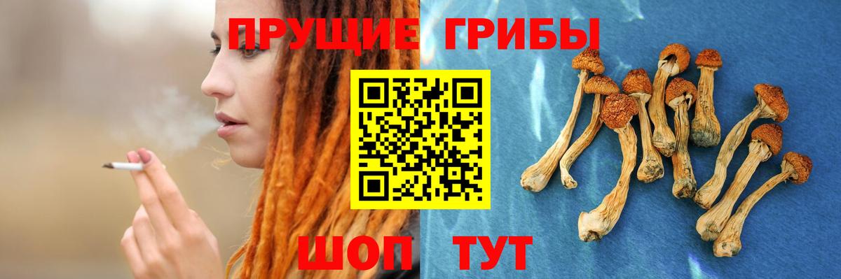 Галлюциногенные грибы ЛСД Тулун